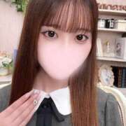 ヒメ日記 2025/03/27 02:31 投稿 ヒヨリ エピソード(品川)