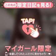 ヒメ日記 2025/03/28 15:46 投稿 ヒヨリ エピソード(品川)