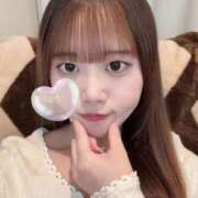 ヒメ日記 2025/04/17 12:31 投稿 ヒヨリ エピソード(品川)