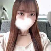 ヒメ日記 2025/04/26 14:46 投稿 ヒヨリ エピソード(品川)