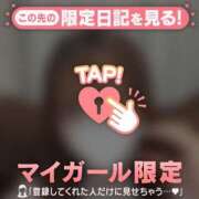 ヒメ日記 2025/06/04 17:46 投稿 ヒヨリ エピソード(品川)