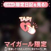 ヒメ日記 2025/11/24 17:16 投稿 ヒヨリ エピソード(品川)