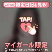 ヒメ日記 2025/12/24 11:16 投稿 ヒヨリ エピソード(品川)