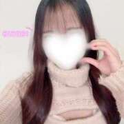 ヒメ日記 2025/12/24 14:31 投稿 ヒヨリ エピソード(品川)