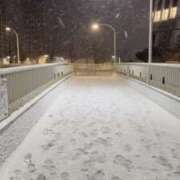 ヒメ日記 2026/02/08 19:01 投稿 ヒヨリ エピソード(品川)