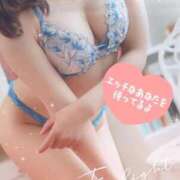 ヒメ日記 2026/04/09 07:59 投稿 いつき sweet kiss