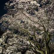 ヒメ日記 2025/04/22 14:45 投稿 愛媛みかん e女商事 池袋店