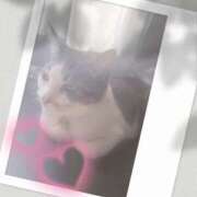 ヒメ日記 2025/03/22 13:12 投稿 桜井ともか 五十路マダム 郡山店