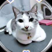 ヒメ日記 2025/03/27 20:16 投稿 桜井ともか 五十路マダム 郡山店