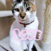 ヒメ日記 2025/04/03 23:54 投稿 桜井ともか 五十路マダム 郡山店