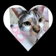 ヒメ日記 2025/04/25 00:38 投稿 桜井ともか 五十路マダム 郡山店