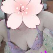 ヒメ日記 2025/04/27 15:44 投稿 桜井ともか 五十路マダム 郡山店