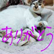 ヒメ日記 2025/04/30 20:42 投稿 桜井ともか 五十路マダム 郡山店