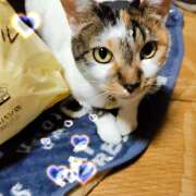 ヒメ日記 2025/05/01 19:12 投稿 桜井ともか 五十路マダム 郡山店