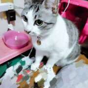 ヒメ日記 2025/05/03 02:12 投稿 桜井ともか 五十路マダム 郡山店