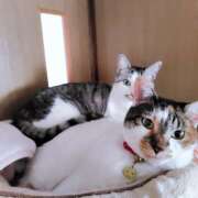 ヒメ日記 2025/05/10 13:00 投稿 桜井ともか 五十路マダム 郡山店