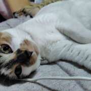 ヒメ日記 2025/05/14 20:12 投稿 桜井ともか 五十路マダム 郡山店