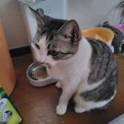 ヒメ日記 2025/05/18 16:06 投稿 桜井ともか 五十路マダム 郡山店