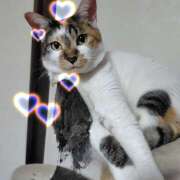 ヒメ日記 2025/05/18 18:52 投稿 桜井ともか 五十路マダム 郡山店