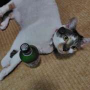 ヒメ日記 2025/05/18 23:58 投稿 桜井ともか 五十路マダム 郡山店