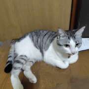 ヒメ日記 2025/05/24 20:10 投稿 桜井ともか 五十路マダム 郡山店