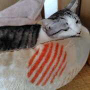 ヒメ日記 2025/05/25 16:18 投稿 桜井ともか 五十路マダム 郡山店