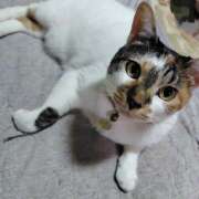 ヒメ日記 2025/05/28 02:18 投稿 桜井ともか 五十路マダム 郡山店