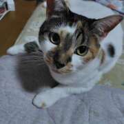 ヒメ日記 2025/06/07 02:48 投稿 桜井ともか 五十路マダム 郡山店