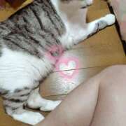 ヒメ日記 2025/06/13 20:04 投稿 桜井ともか 五十路マダム 郡山店