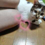 ヒメ日記 2025/06/15 19:36 投稿 桜井ともか 五十路マダム 郡山店