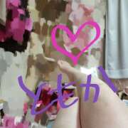 ヒメ日記 2025/06/17 20:04 投稿 桜井ともか 五十路マダム 郡山店