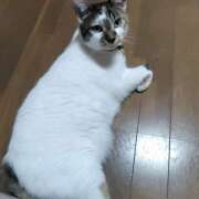 ヒメ日記 2025/06/29 00:38 投稿 桜井ともか 五十路マダム 郡山店