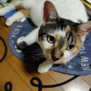 ヒメ日記 2025/07/01 18:44 投稿 桜井ともか 五十路マダム 郡山店