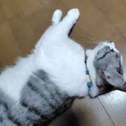 ヒメ日記 2025/07/01 23:06 投稿 桜井ともか 五十路マダム 郡山店