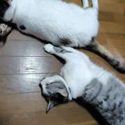 ヒメ日記 2025/07/07 19:48 投稿 桜井ともか 五十路マダム 郡山店