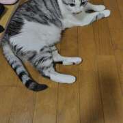 ヒメ日記 2025/07/20 20:16 投稿 桜井ともか 五十路マダム 郡山店