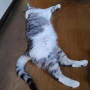 ヒメ日記 2025/07/26 16:18 投稿 桜井ともか 五十路マダム 郡山店