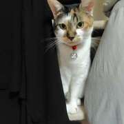 ヒメ日記 2025/10/04 01:52 投稿 桜井ともか 五十路マダム 郡山店