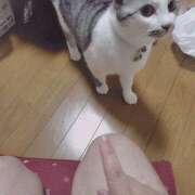 ヒメ日記 2025/10/22 00:06 投稿 桜井ともか 五十路マダム 郡山店