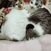 ヒメ日記 2025/11/27 18:26 投稿 桜井ともか 五十路マダム 郡山店