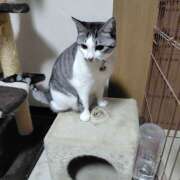 ヒメ日記 2025/11/28 20:02 投稿 桜井ともか 五十路マダム 郡山店