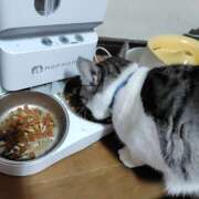 ヒメ日記 2025/11/30 20:22 投稿 桜井ともか 五十路マダム 郡山店