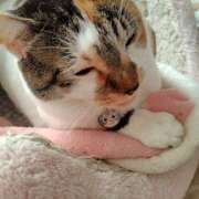 ヒメ日記 2025/12/07 12:58 投稿 桜井ともか 五十路マダム 郡山店