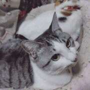 ヒメ日記 2025/12/10 20:32 投稿 桜井ともか 五十路マダム 郡山店