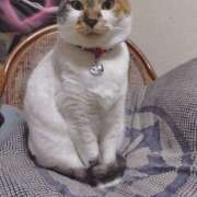 ヒメ日記 2025/12/16 19:46 投稿 桜井ともか 五十路マダム 郡山店