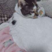 ヒメ日記 2025/12/23 21:32 投稿 桜井ともか 五十路マダム 郡山店