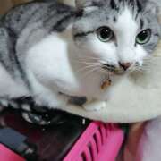 ヒメ日記 2025/12/26 20:02 投稿 桜井ともか 五十路マダム 郡山店