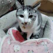 ヒメ日記 2026/01/20 19:50 投稿 桜井ともか 五十路マダム 郡山店