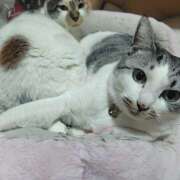 ヒメ日記 2026/01/24 21:20 投稿 桜井ともか 五十路マダム 郡山店