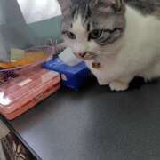 ヒメ日記 2026/02/02 19:58 投稿 桜井ともか 五十路マダム 郡山店